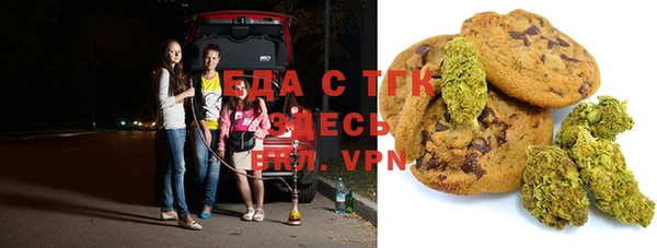 шишки Медногорск