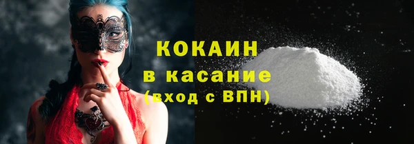 шишки Медногорск