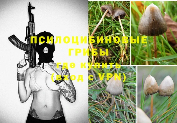 шишки Медногорск