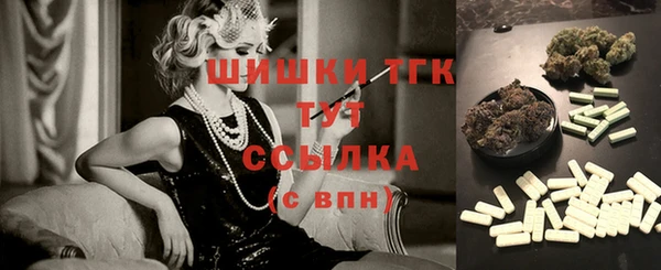 шишки Медногорск