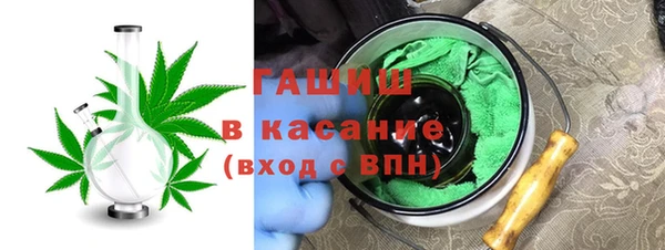 шишки Медногорск