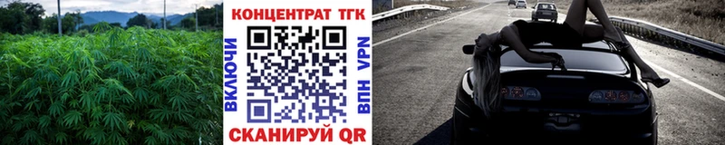 дарнет шоп  Урус-Мартан  ТГК Wax 