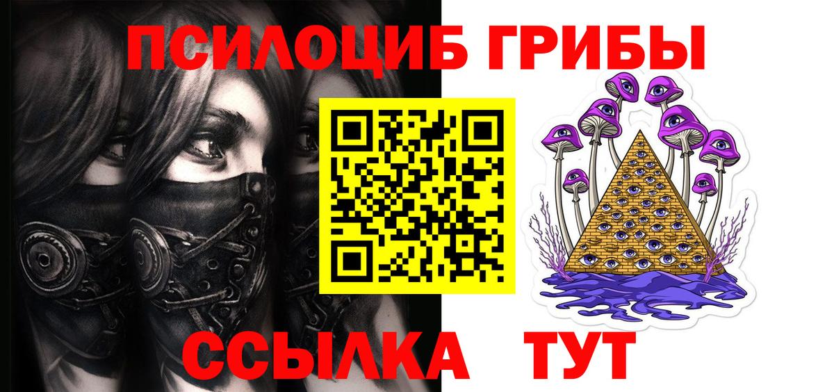 Псилоцибиновые грибы Cubensis  Вход с VPN  Урус-Мартан 